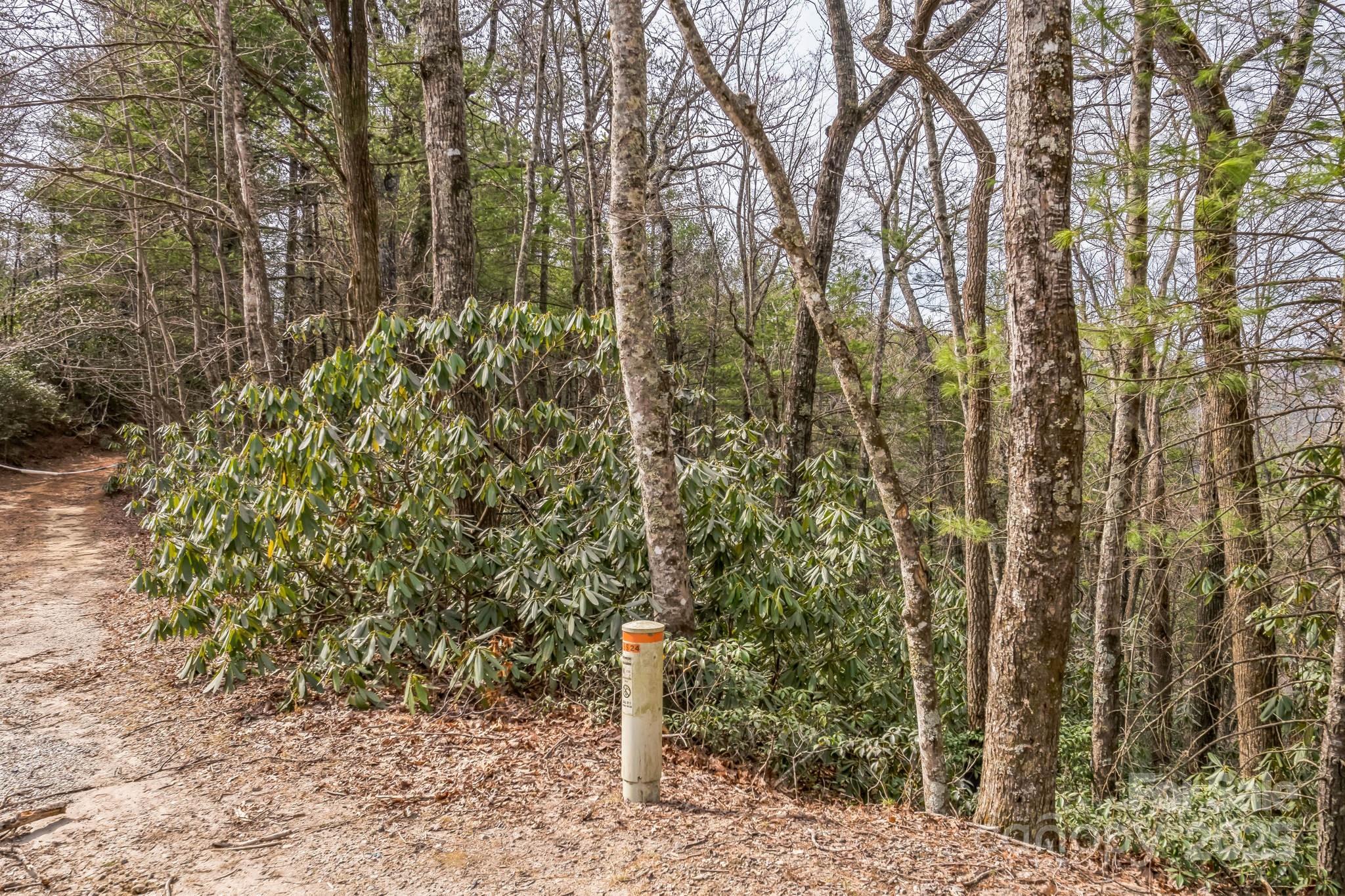 1 Globe Road Collettsville, NC 28611 - Photo 3 of 43 a view of a forest