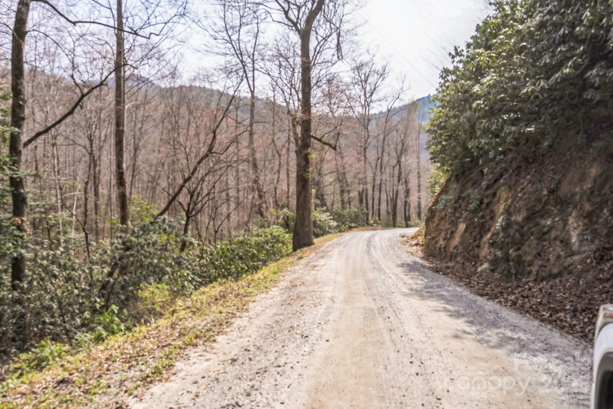 1 Globe Road Collettsville, NC 28611 - Photo 31 of 43 a view of a backyard with large trees