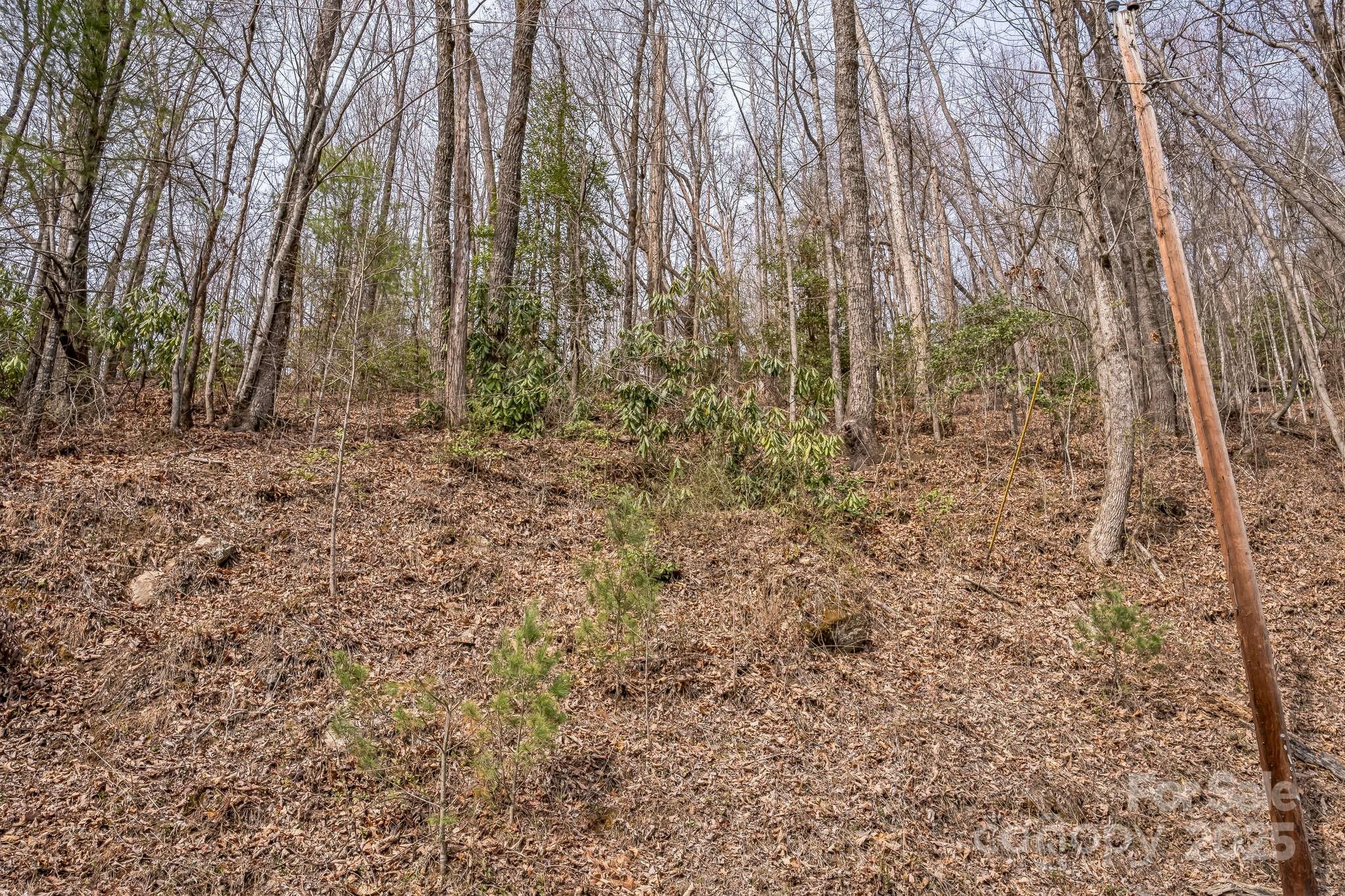 1 Globe Road Collettsville, NC 28611 - Photo 35 of 43 a view of a yard with trees