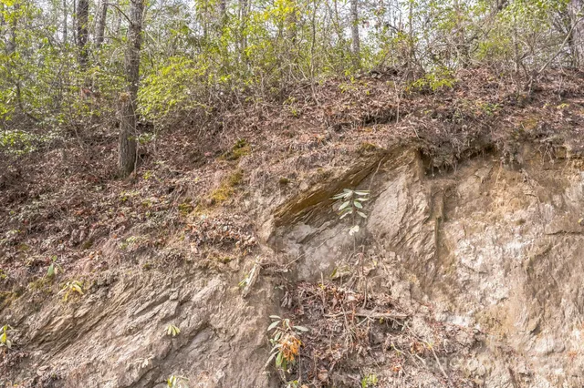 a backyard of a house