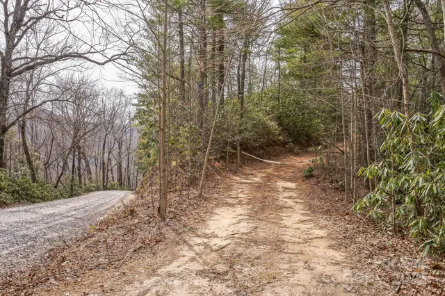 a view of backyard with green space