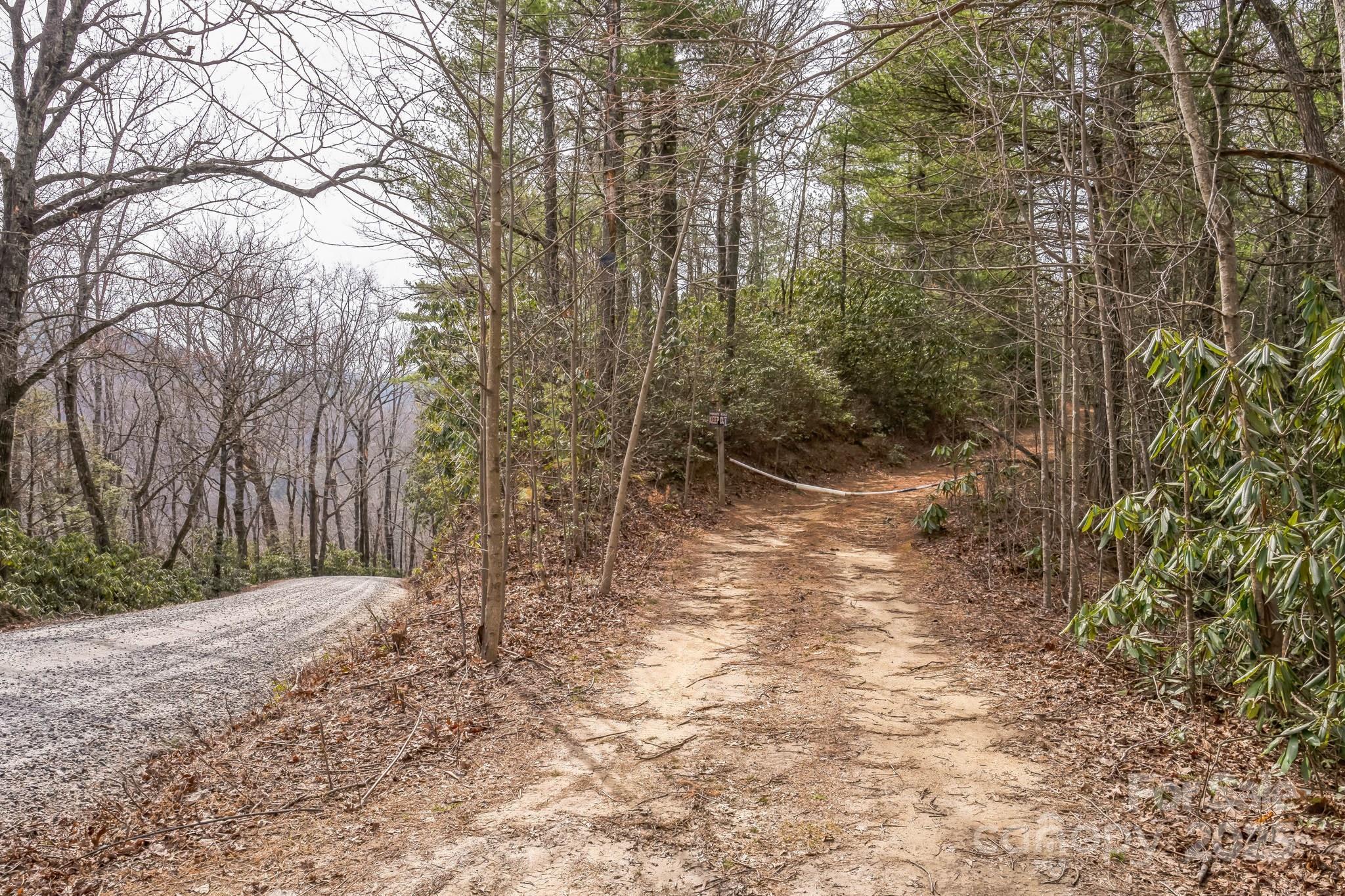 1 Globe Road Collettsville, NC 28611 - Photo 4 of 43 a view of backyard with green space