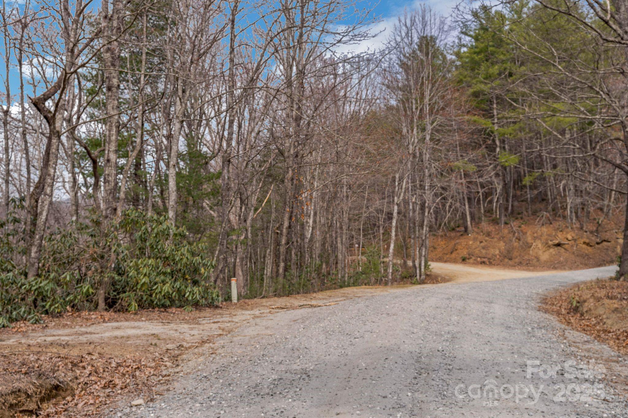 1 Globe Road Collettsville, NC 28611 - Photo 42 of 43 a view of outdoor space with trees