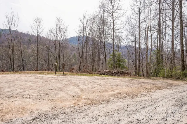 a backyard of a house with trees