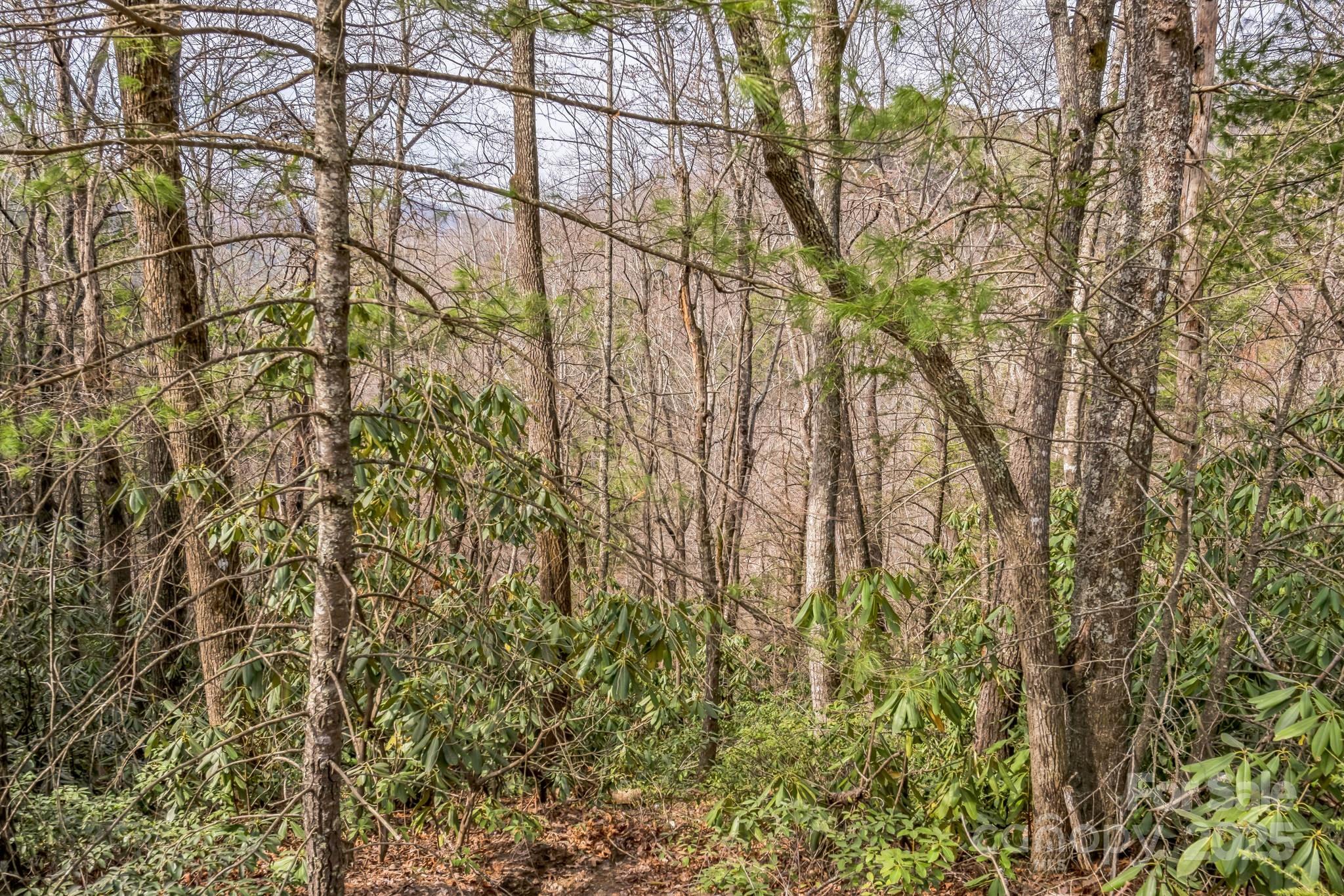 1 Globe Road Collettsville, NC 28611 - Photo 7 of 43 a view of a yard with a tree