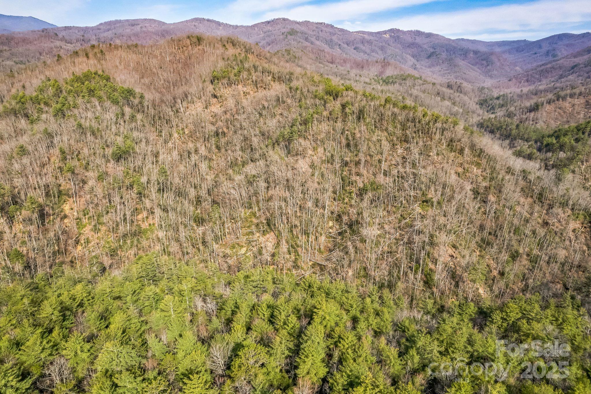 1 Globe Road Collettsville, NC 28611 - Photo 8 of 43 a view of a lush green hillside and a mountain
