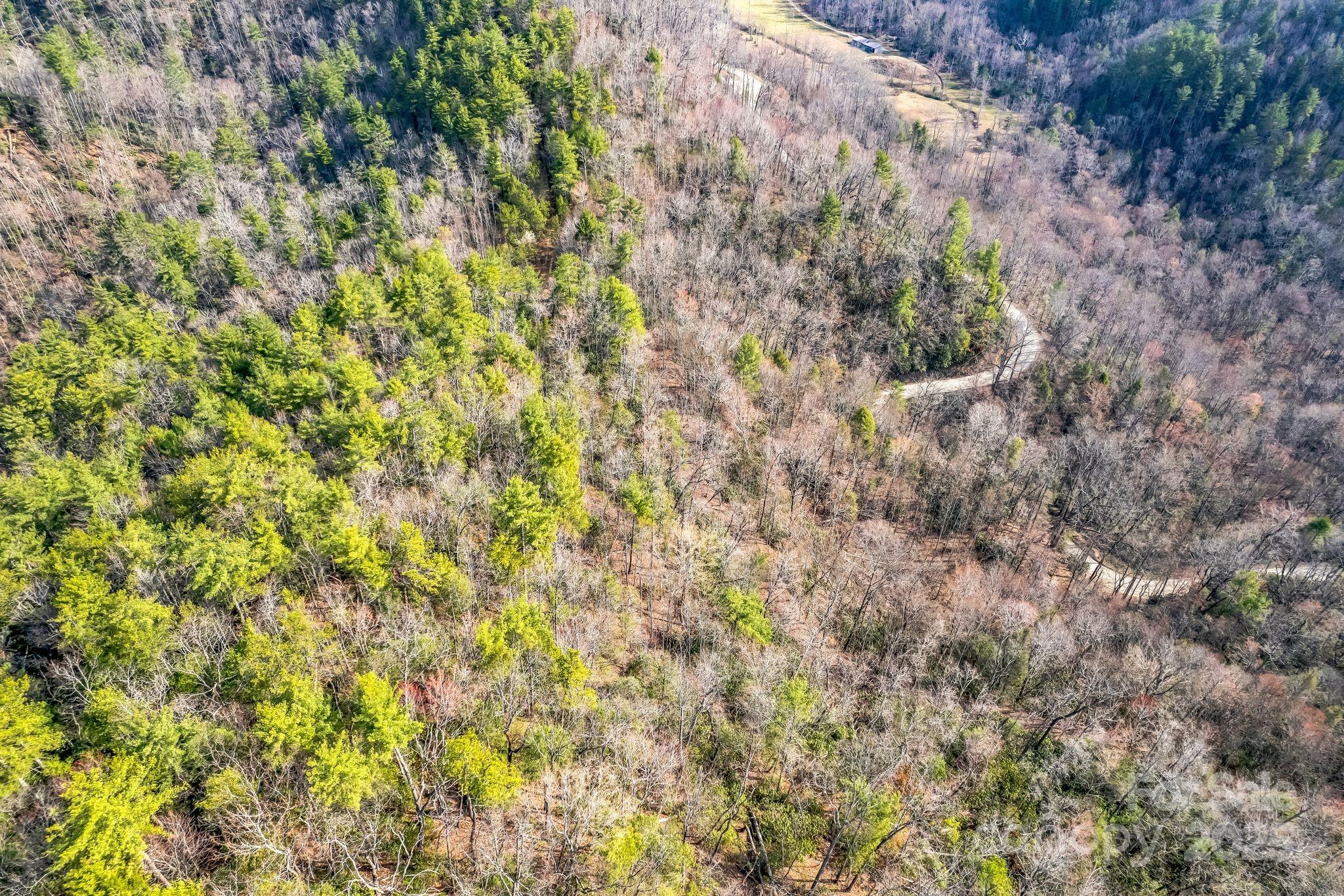 1 Globe Road Collettsville, NC 28611 - Photo 9 of 43 a view of a yard with a tree