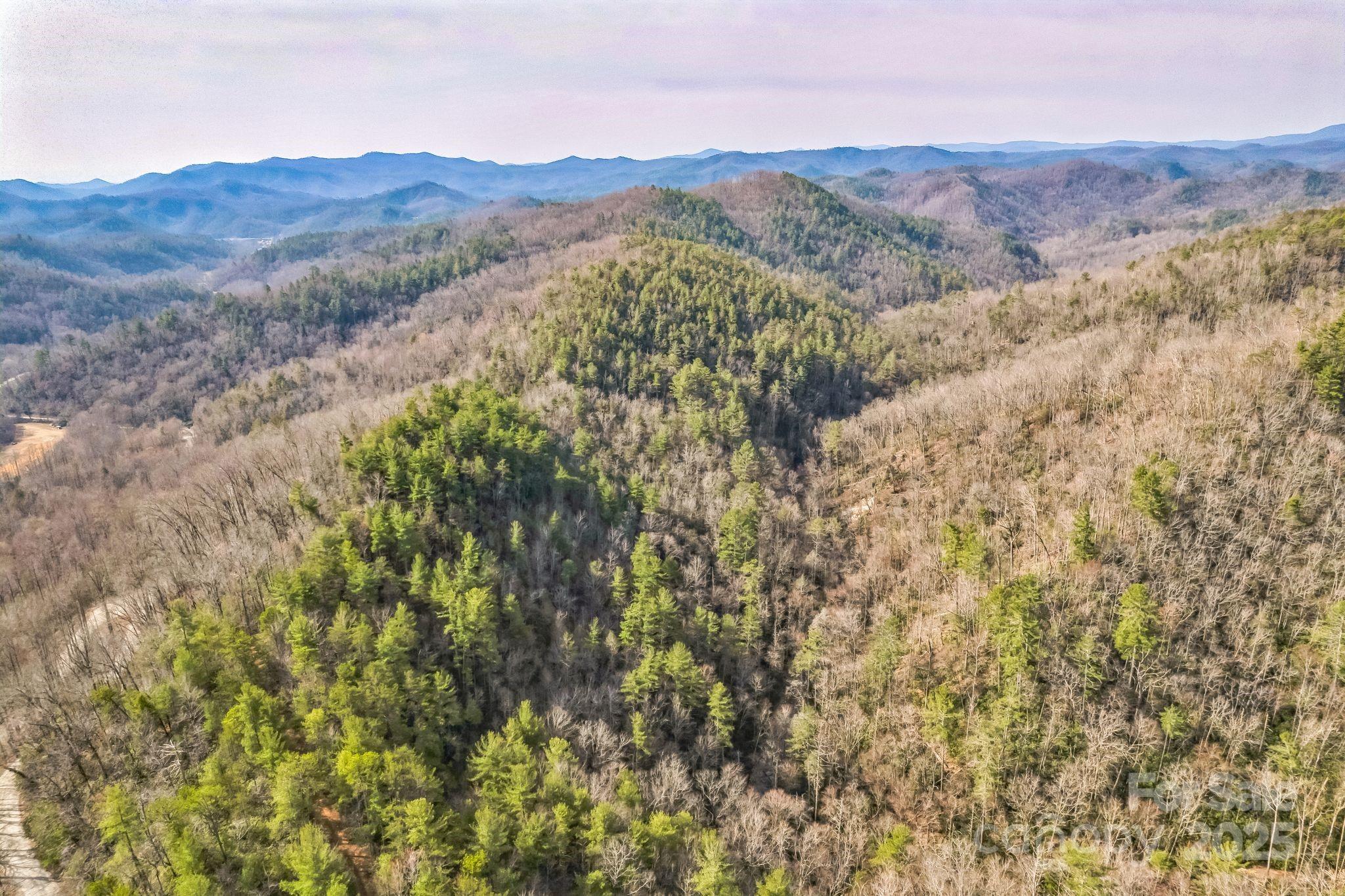1 Globe Road Collettsville, NC 28611 - Photo 10 of 43 a view of a lush green hillside and a mountain