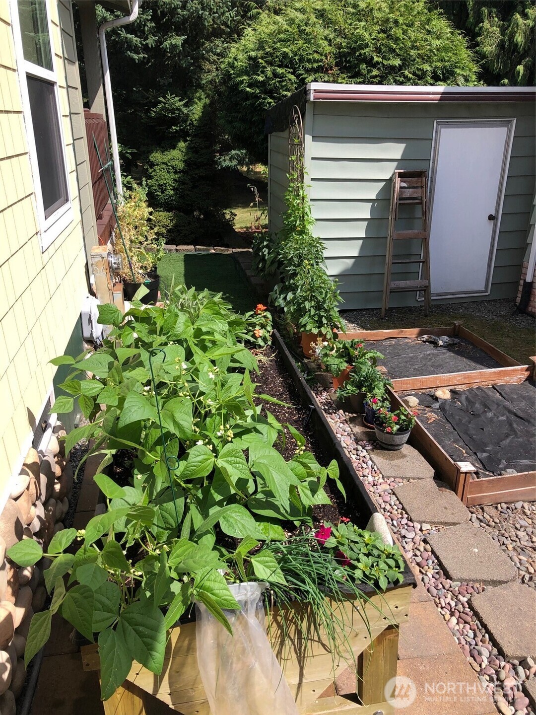 815 124th Street Southwest Everett, WA 98204 - Photo 39 of 40