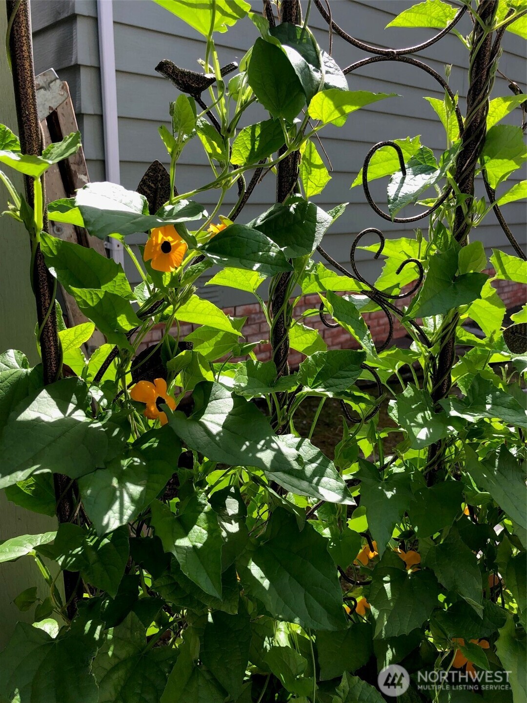 815 124th Street Southwest Everett, WA 98204 - Photo 40 of 40