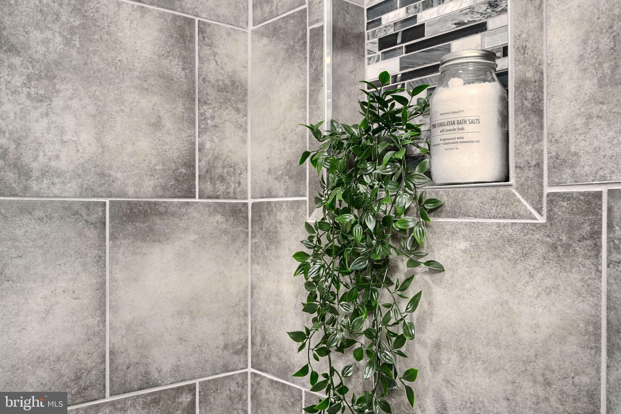 2919 Onyx Road Baltimore, MD 21234 - Photo 35 of 41 a bathroom with a shower