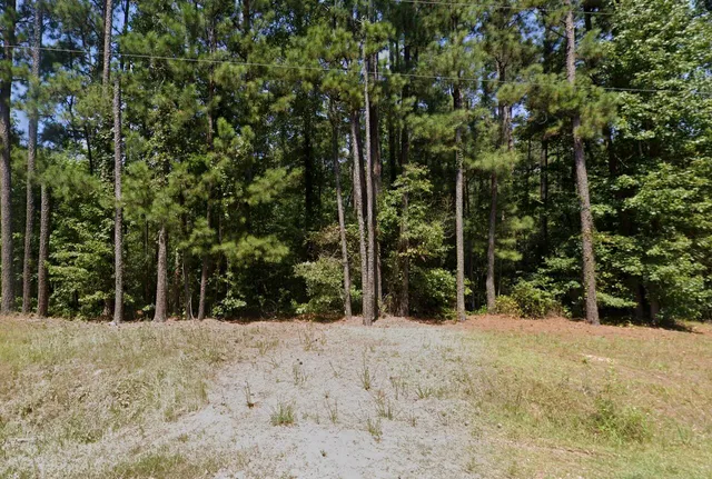 $5,000 | Lot 421 Lost Wilderness Road, Clarks Hill, SC 29821