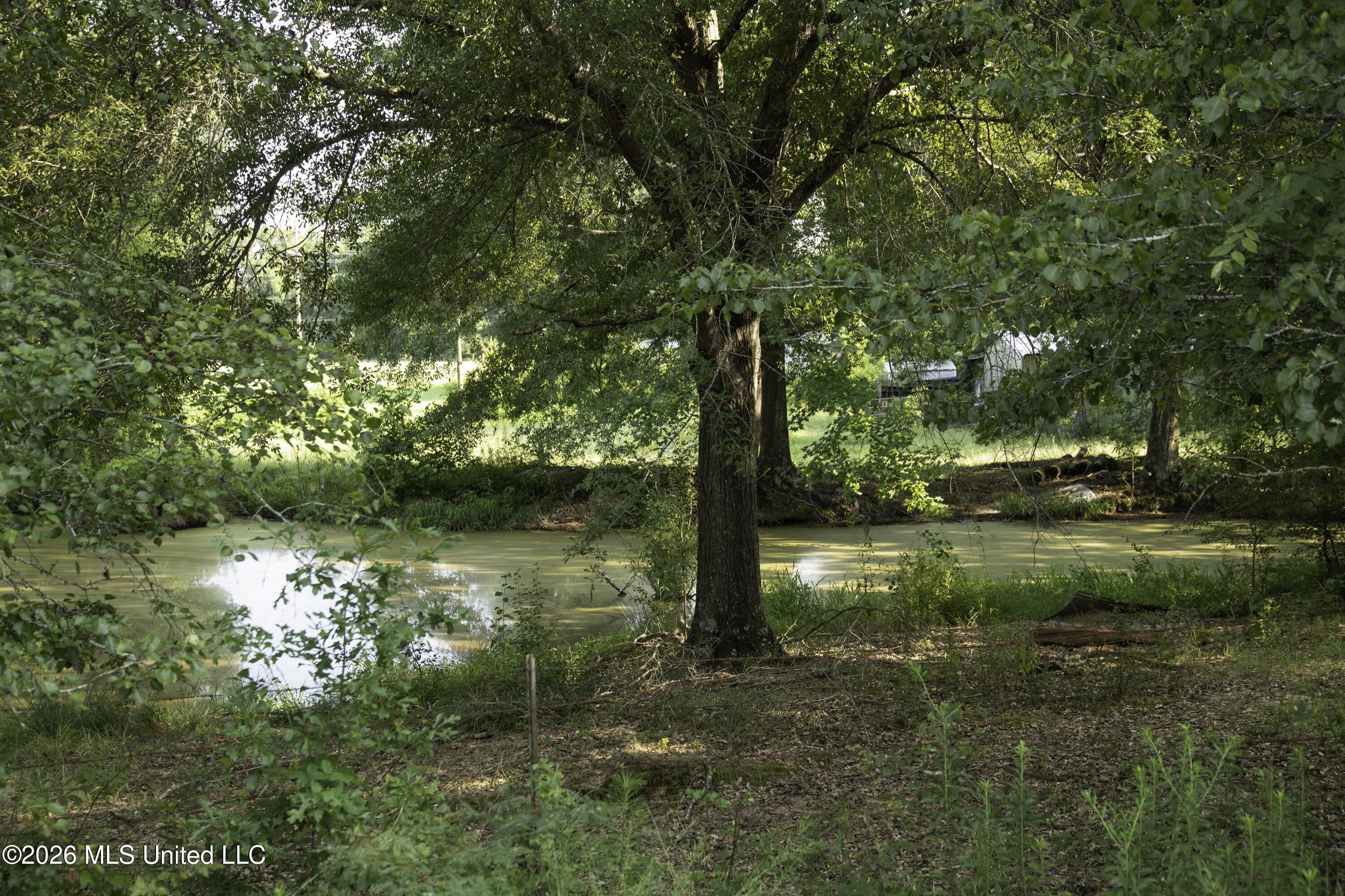 5376 Byhalia Road Hernando, MS 38632 - Photo 28 of 41 Ground View of Pond