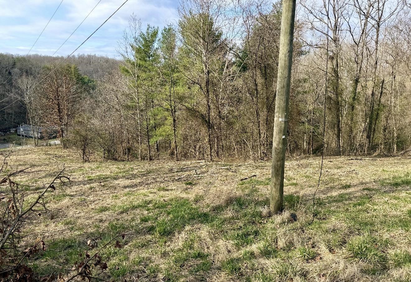 3529 Cannonsburg Road Catlettsburg, KY 41129 - Photo 9 of 15
