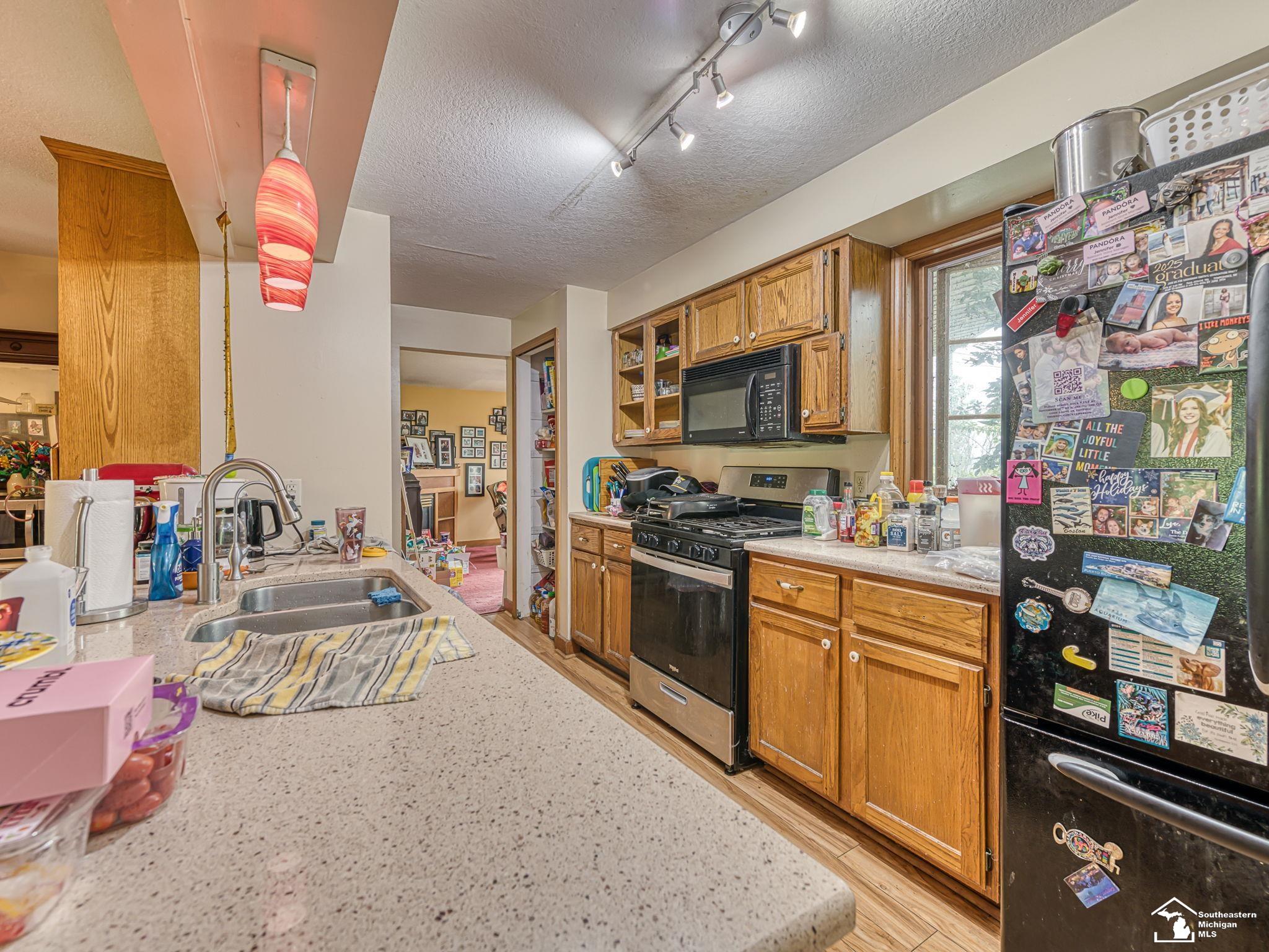 1689 Rauch Road Temperance, MI 48182 - Photo 6 of 56 Gallery Image 6