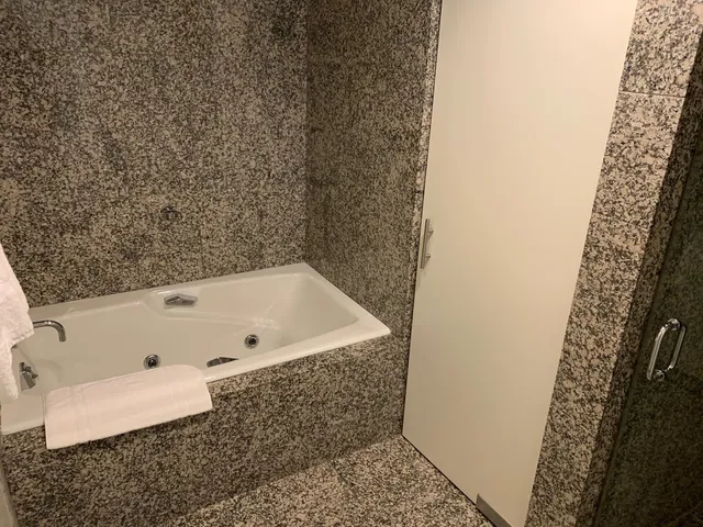 $8,088 | 750 North Rush Street, Unit 3503, Chicago, IL 60611