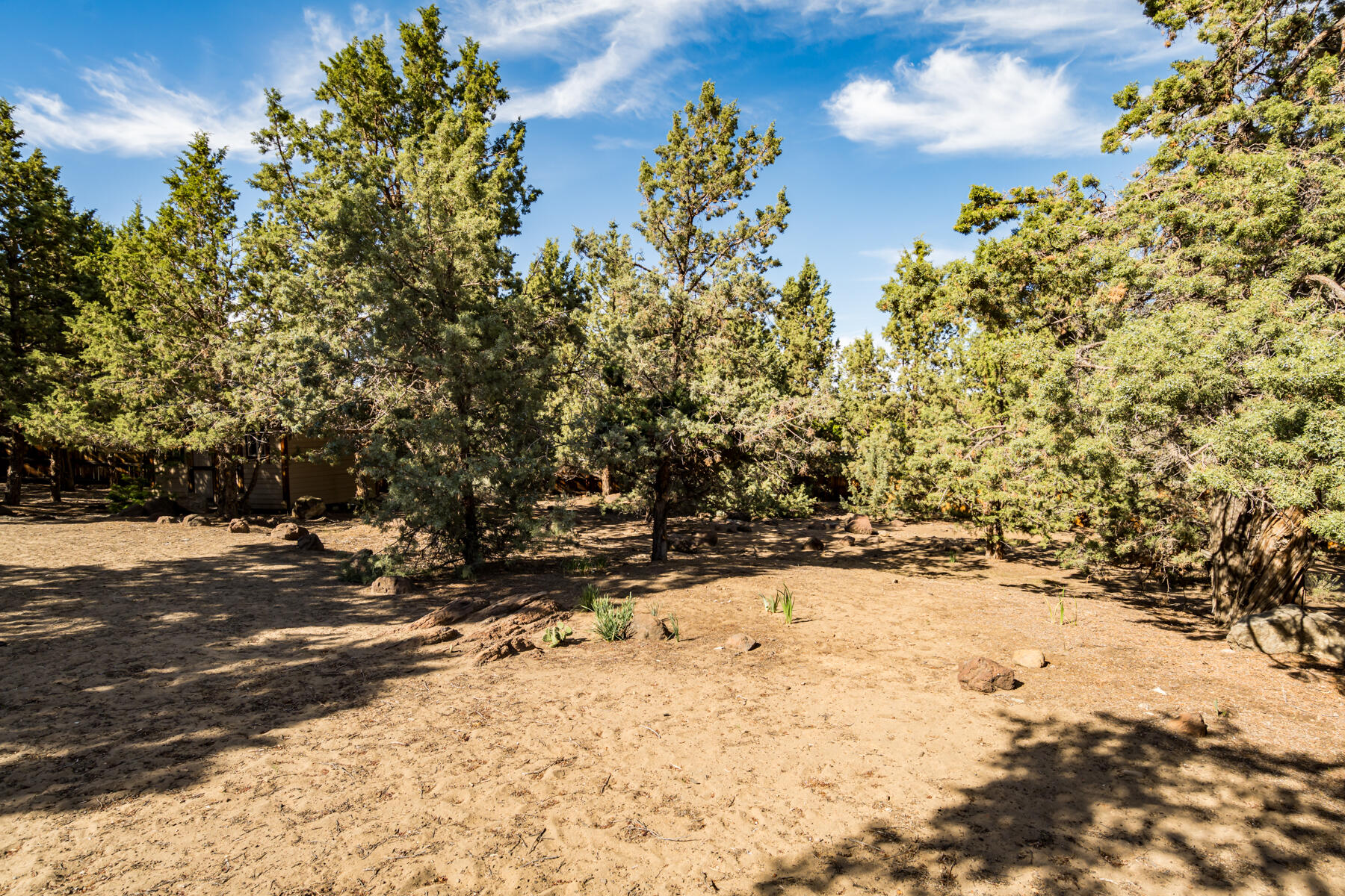 3740 Southwest 35th Street Redmond, OR 97756 - Photo 42 of 51 JH5_2440