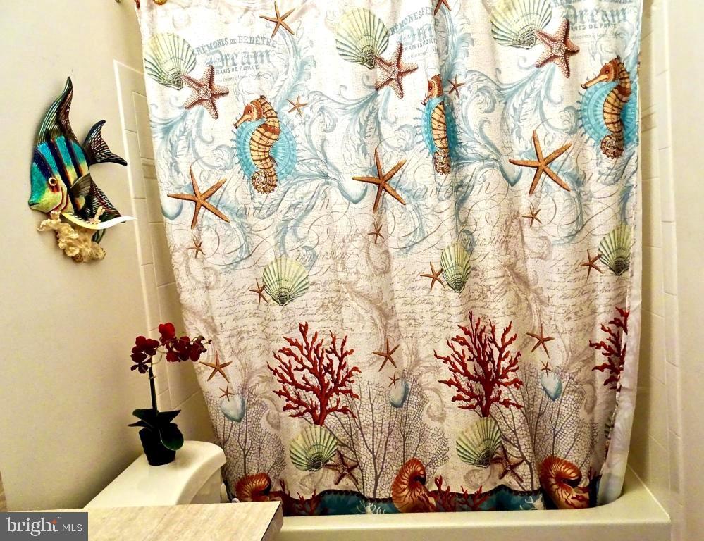 81 Cranmer Road Bayville, NJ 08721 - Photo 17 of 44 Gallery Image 17