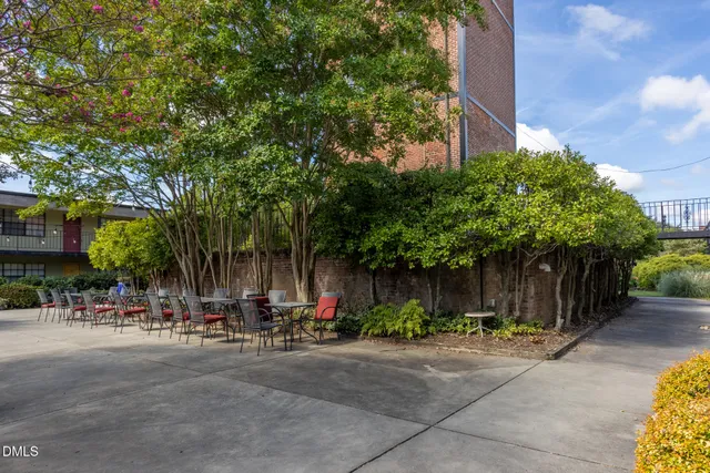 a view of a garden with plants