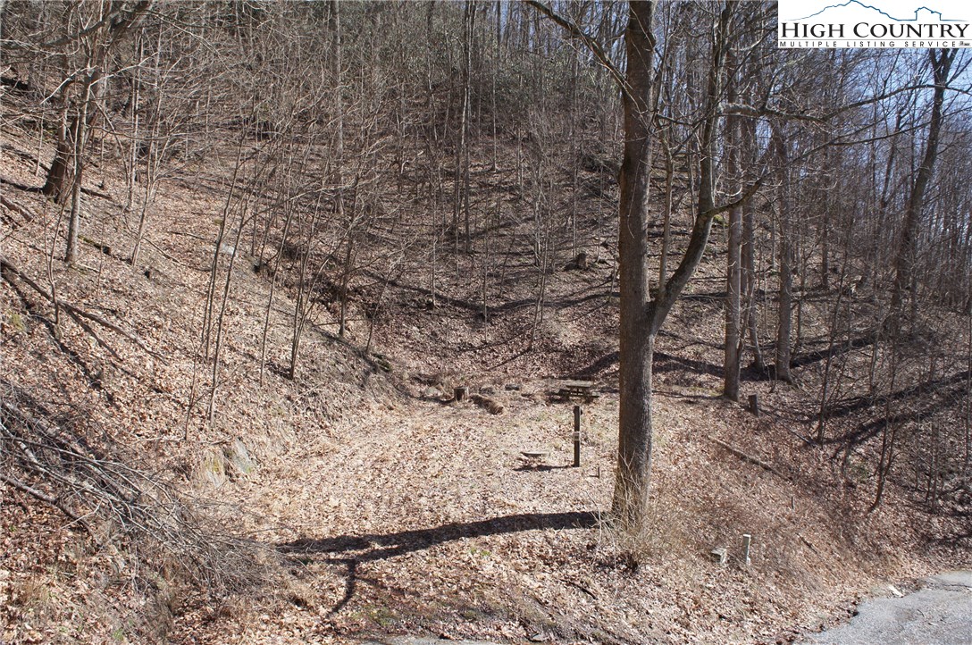 2024 Georges Gap Road Sugar Grove, NC 28679 - Photo 13 of 39 Gallery Image 13