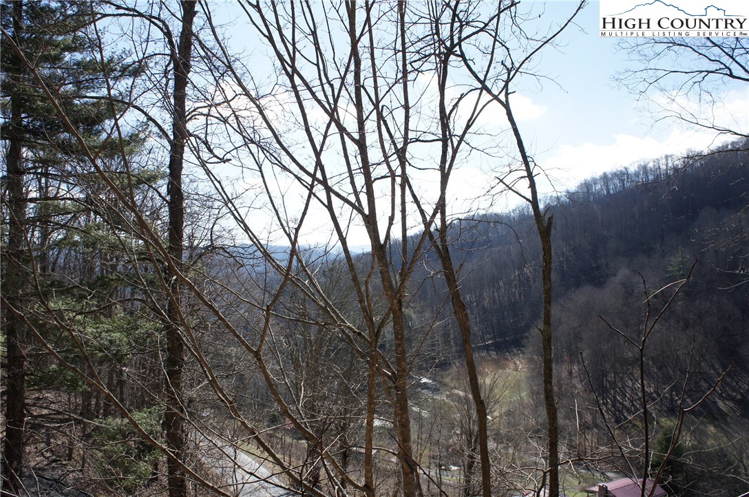 2024 Georges Gap Road Sugar Grove, NC 28679 - Photo 15 of 39 Gallery Image 15