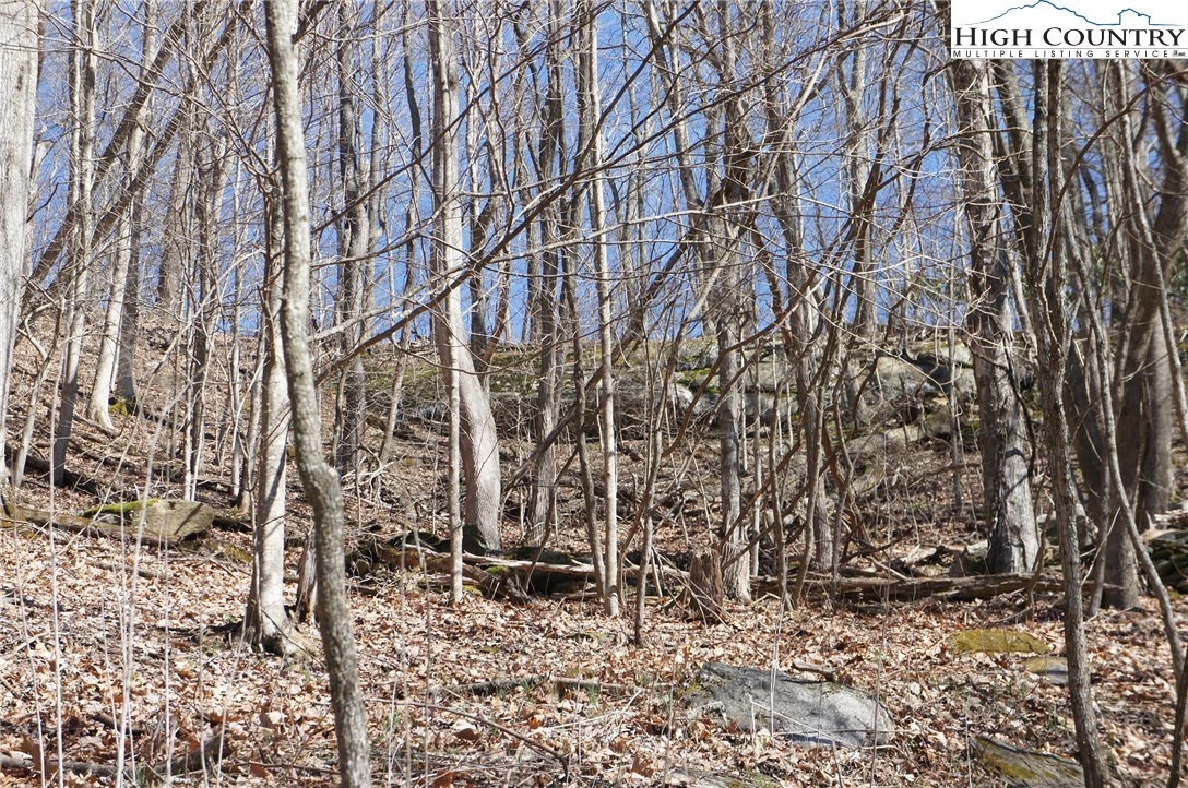 2024 Georges Gap Road Sugar Grove, NC 28679 - Photo 7 of 39 Gallery Image 7
