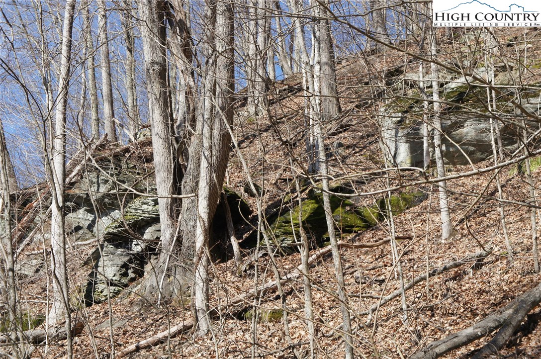 2024 Georges Gap Road Sugar Grove, NC 28679 - Photo 8 of 39 Gallery Image 8