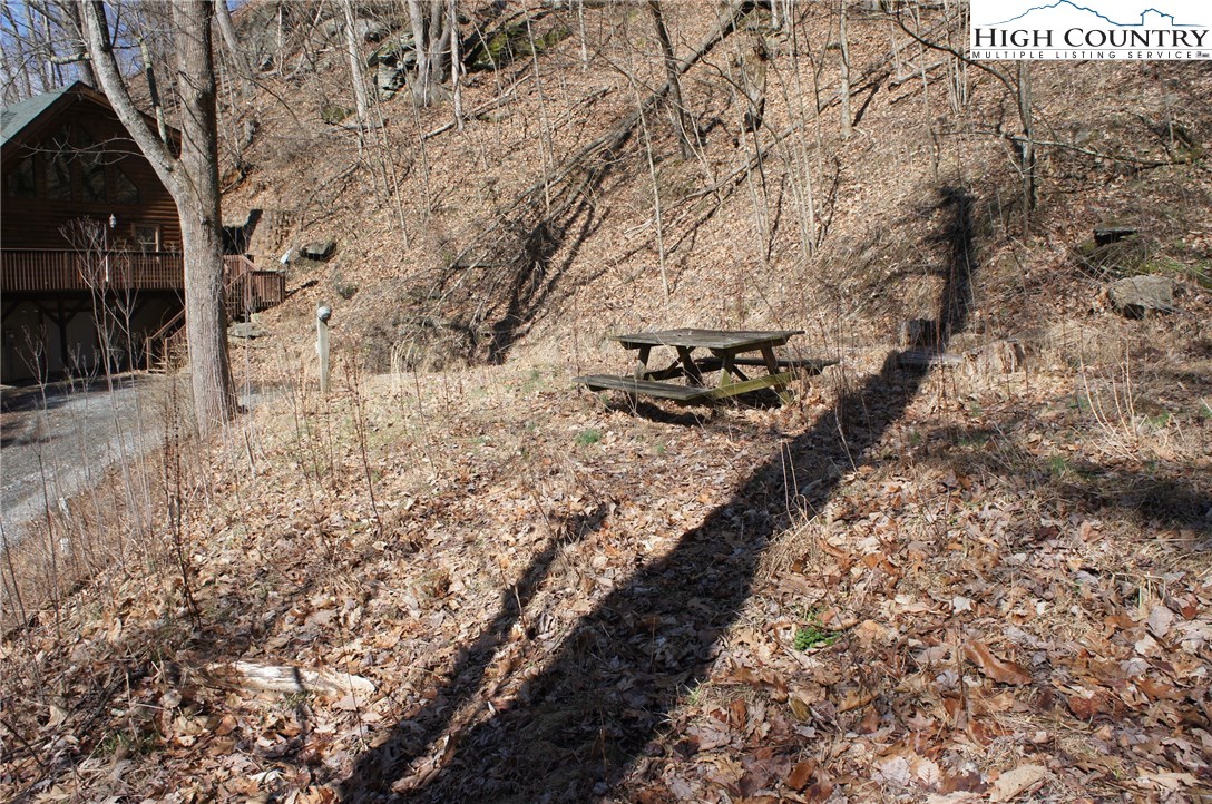 2024 Georges Gap Road Sugar Grove, NC 28679 - Photo 9 of 39 Gallery Image 9