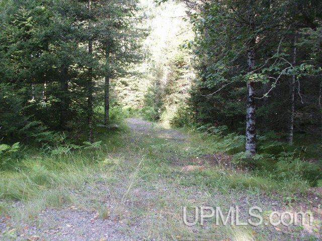 Parcel 2 Off County Rd 577, Unit 2 Carney, MI 49812 - Photo 13 of 13