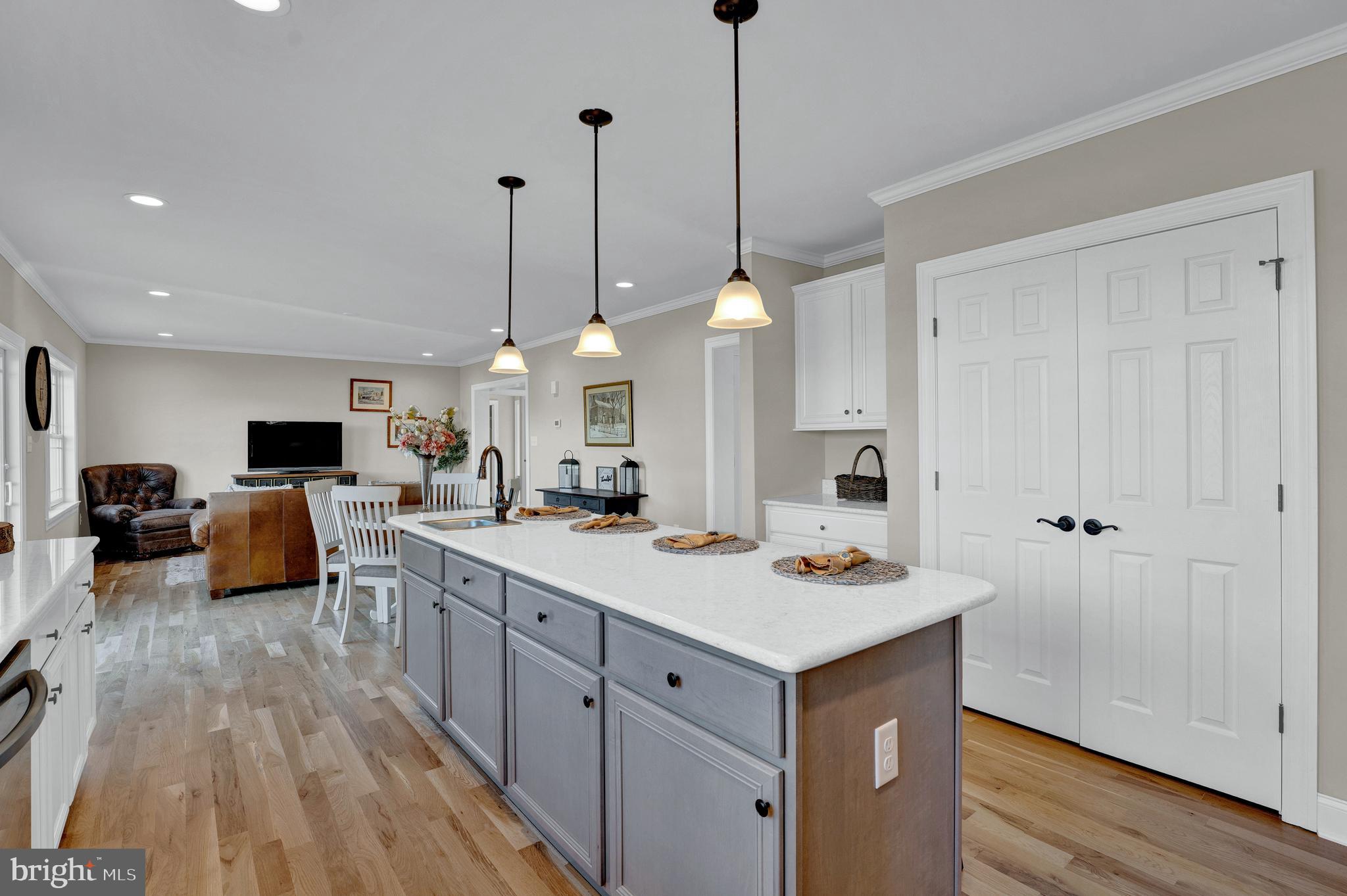 342 Rosemont Ringoes Road Stockton, NJ 08559 - Photo 13 of 55 Gourmet kitchen w/pantry, & plenty of storage