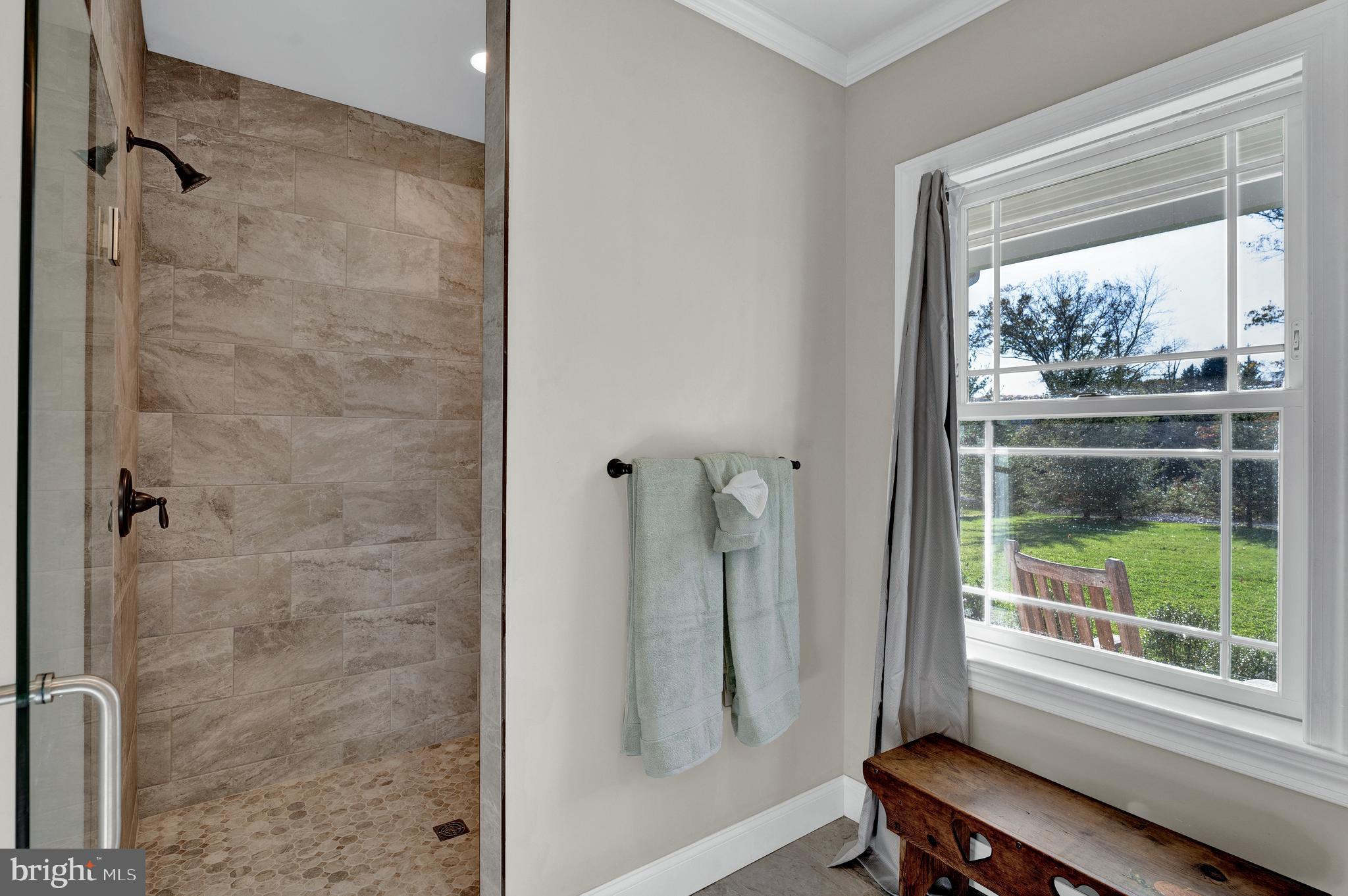 342 Rosemont Ringoes Road Stockton, NJ 08559 - Photo 23 of 55 1st floor private en-suite custom stall shower