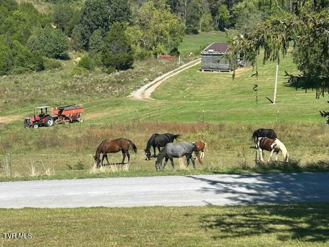 526 Blue Hollow Road Rose Hill, VA 24281 - Photo 25 of 25 Country view from porch
