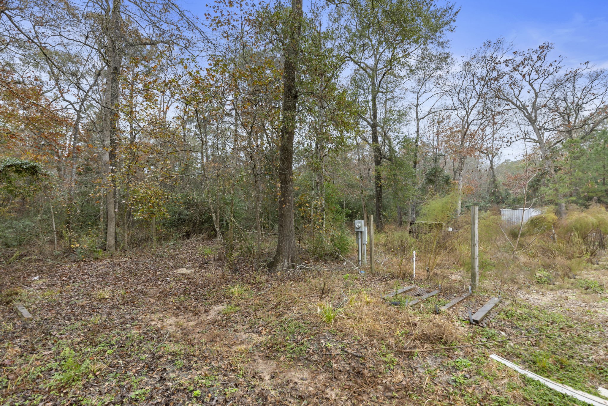 5403 Jack Spera Way Cleveland, TX 77328 - Photo 6 of 24