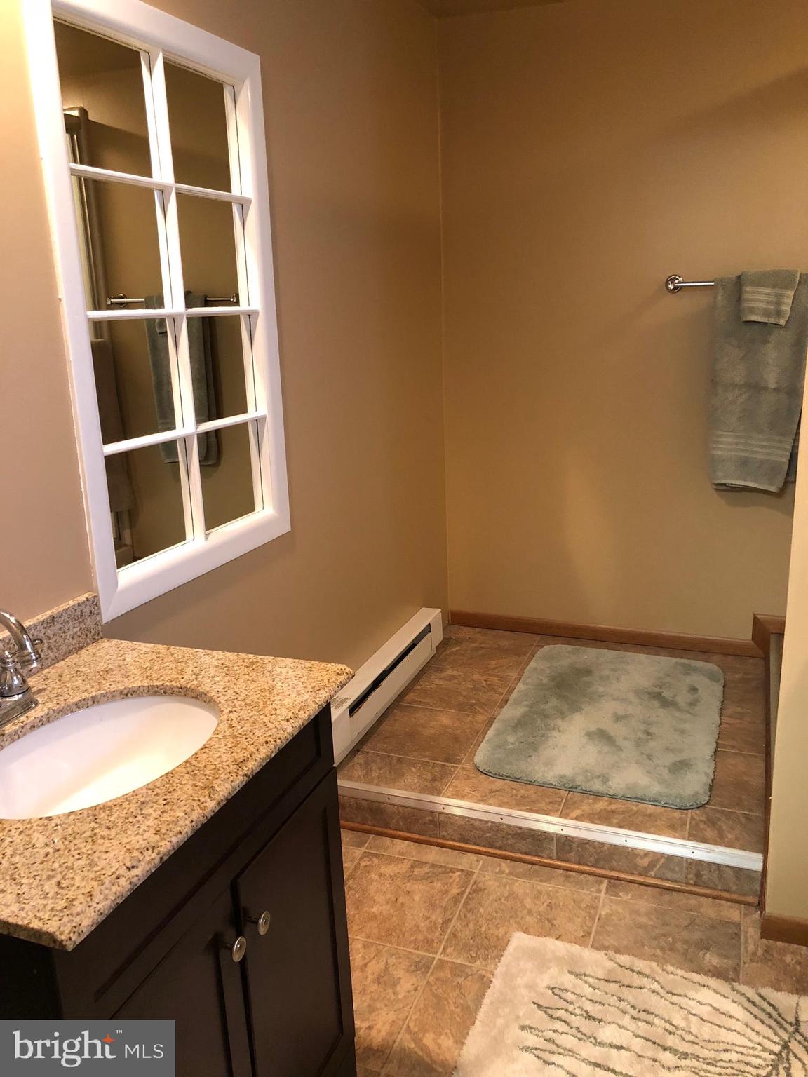 2002 Coon Club Road Westminster, MD 21157 - Photo 23 of 61 Lower Level Full bath