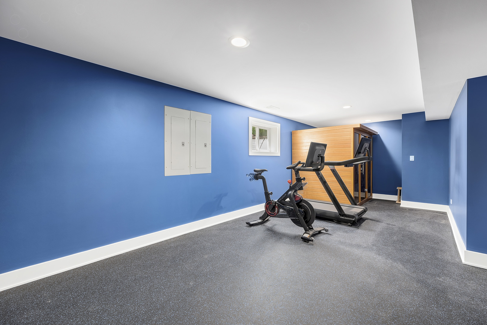 4333 Roslyn Road Downers Grove, IL 60515 - Photo 42 of 67 a view of a room with gym equipment