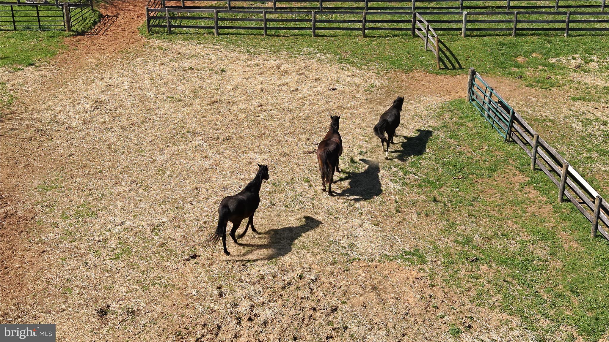 2517 5 Points Road Marshall, VA 20115 - Photo 131 of 145 Aerial View