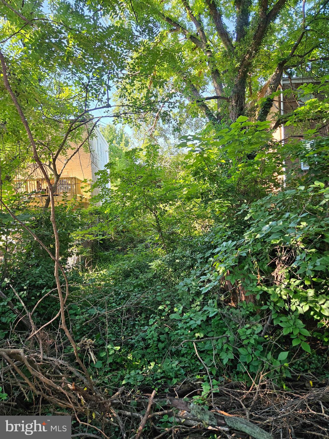 4224 Foote Street Northeast Washington, DC 20019 - Photo 5 of 5 Back of lot