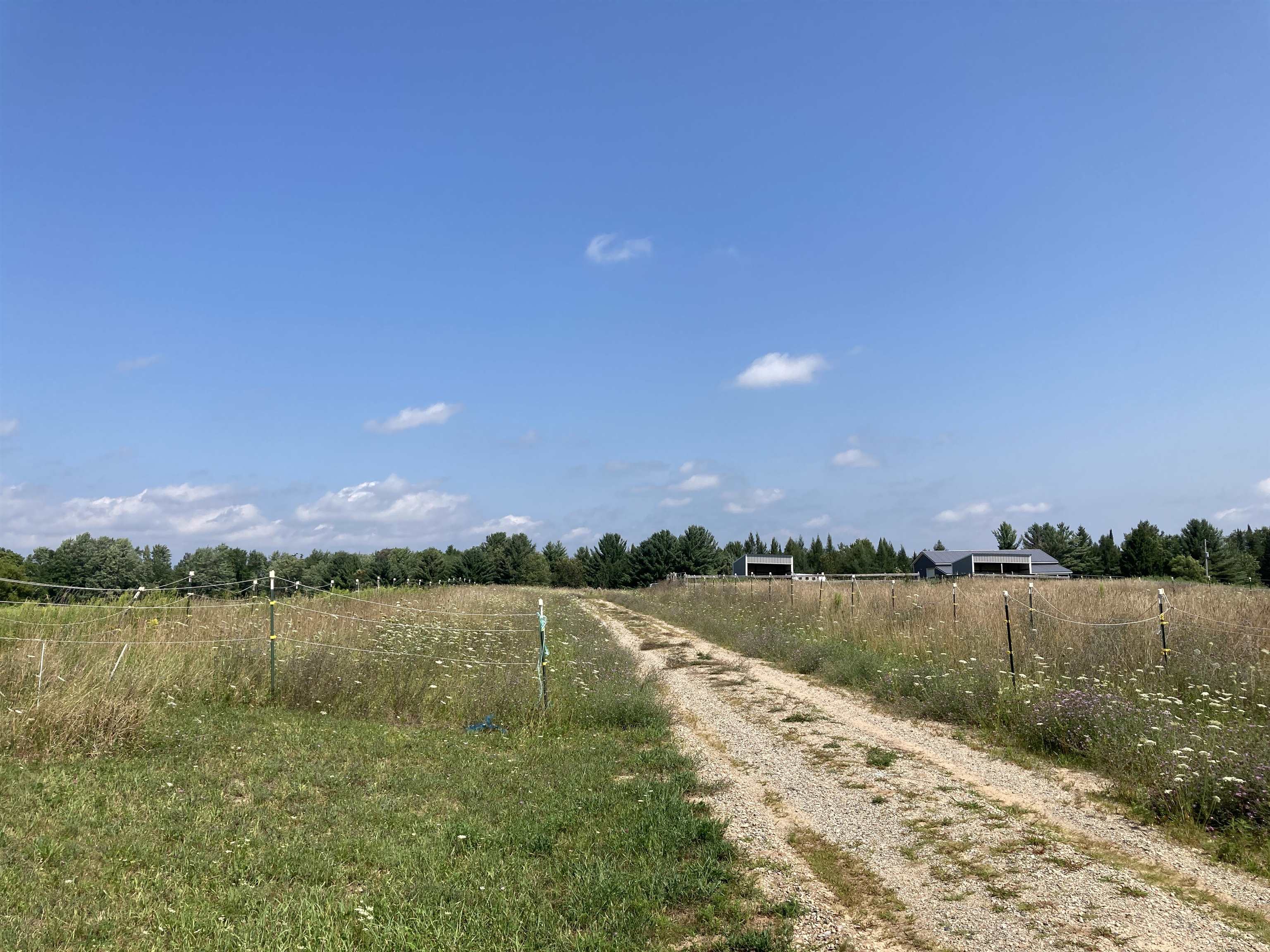 0 East Scribner Road Rose City, MI 48654 - Photo 16 of 19