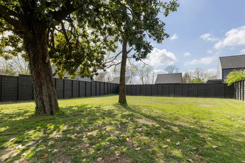 a view of a yard with a large tree