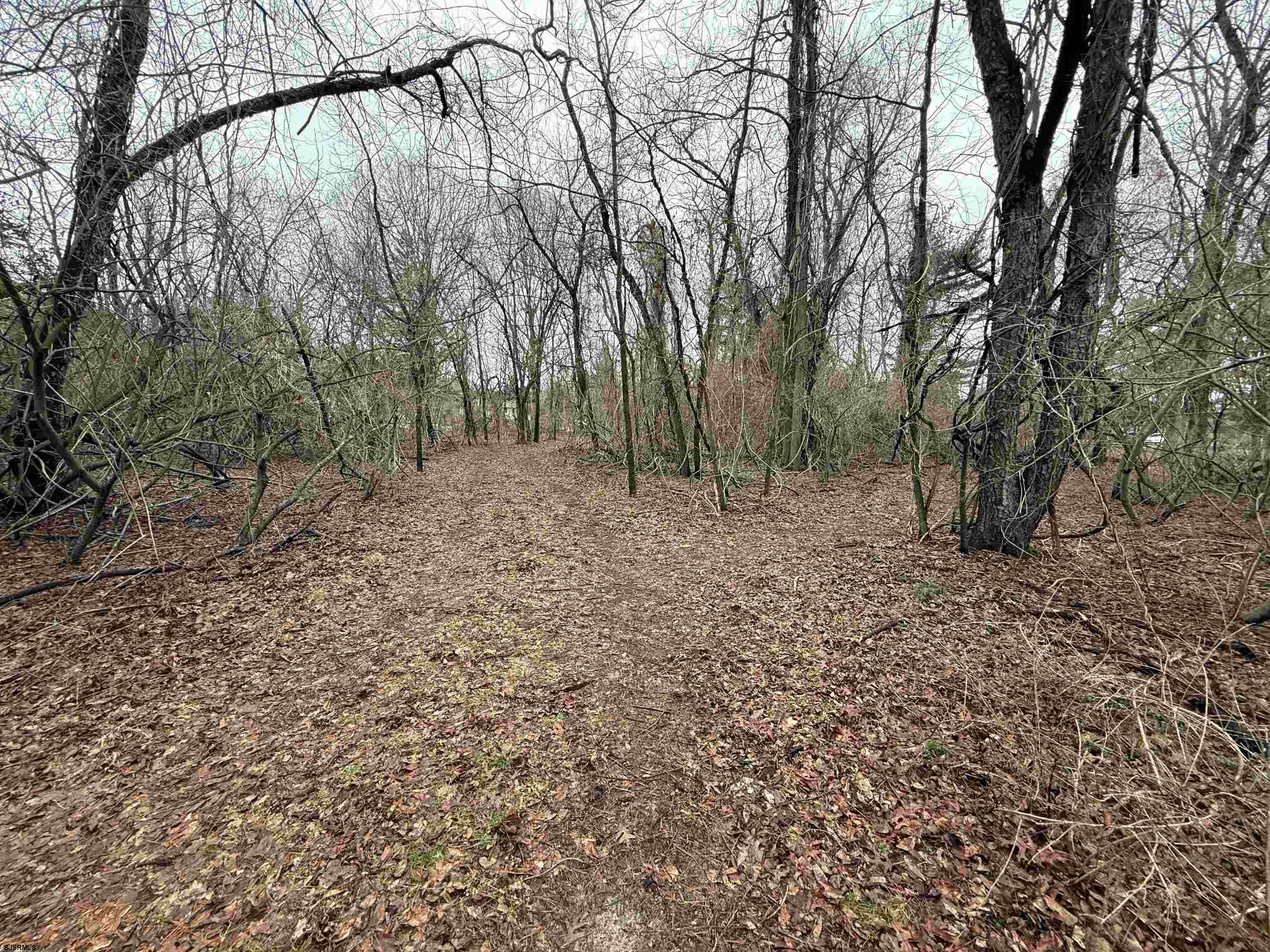 Waterford Road Hammonton, NJ 08037 - Photo 2 of 3 a backyard of a house with lots of green space