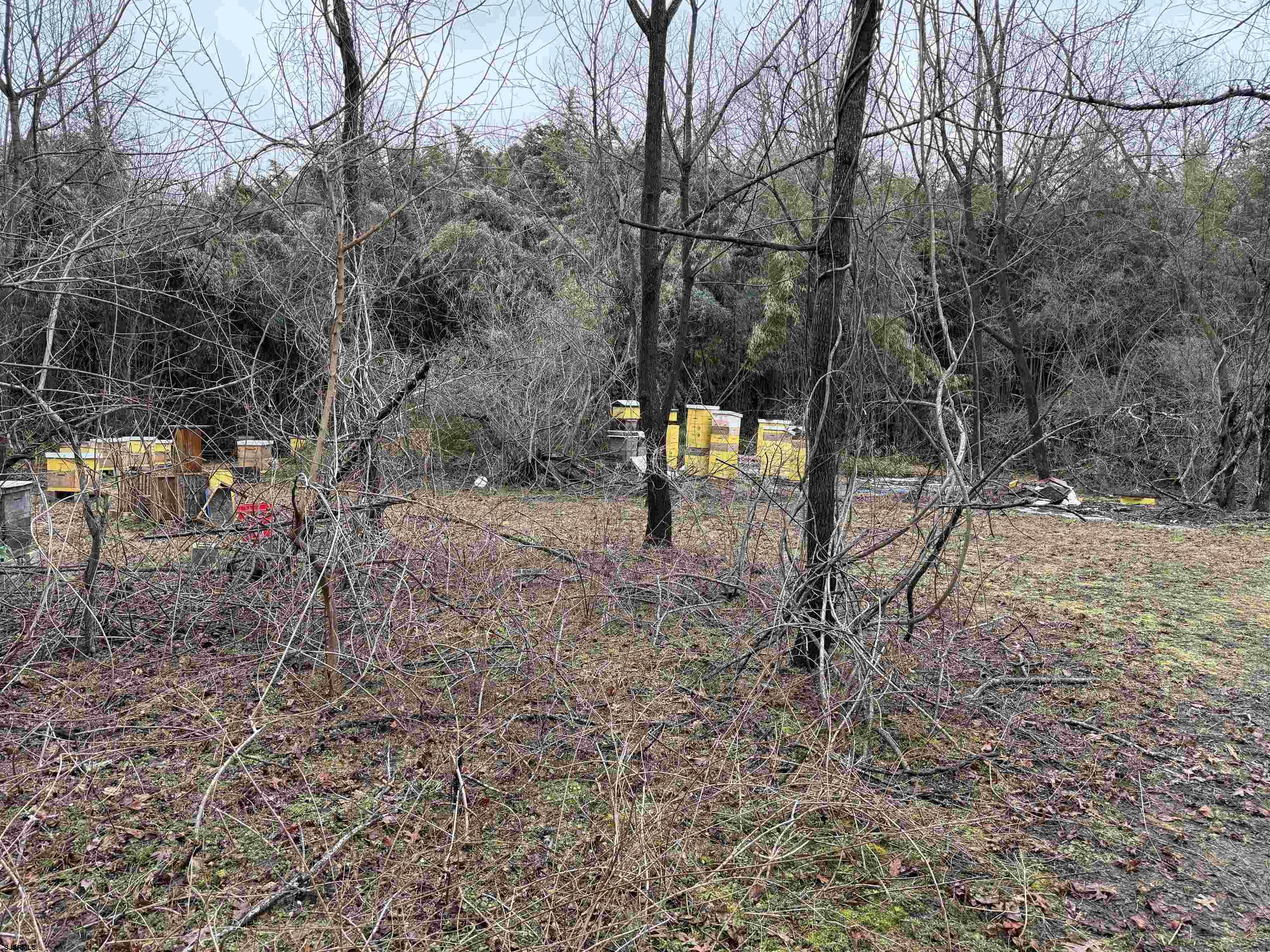 Waterford Road Hammonton, NJ 08037 - Photo 3 of 3 a backyard of a house with lots of green space