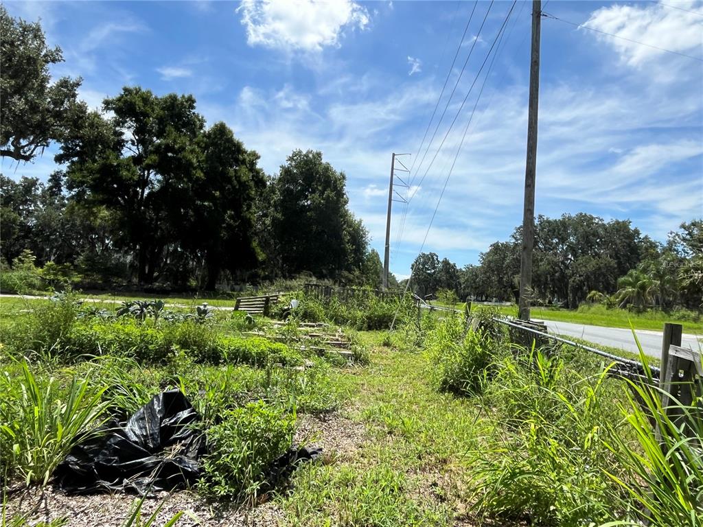 411 Alibrandi Road Leesburg, FL 34748 - Photo 11 of 44 a view of a garden
