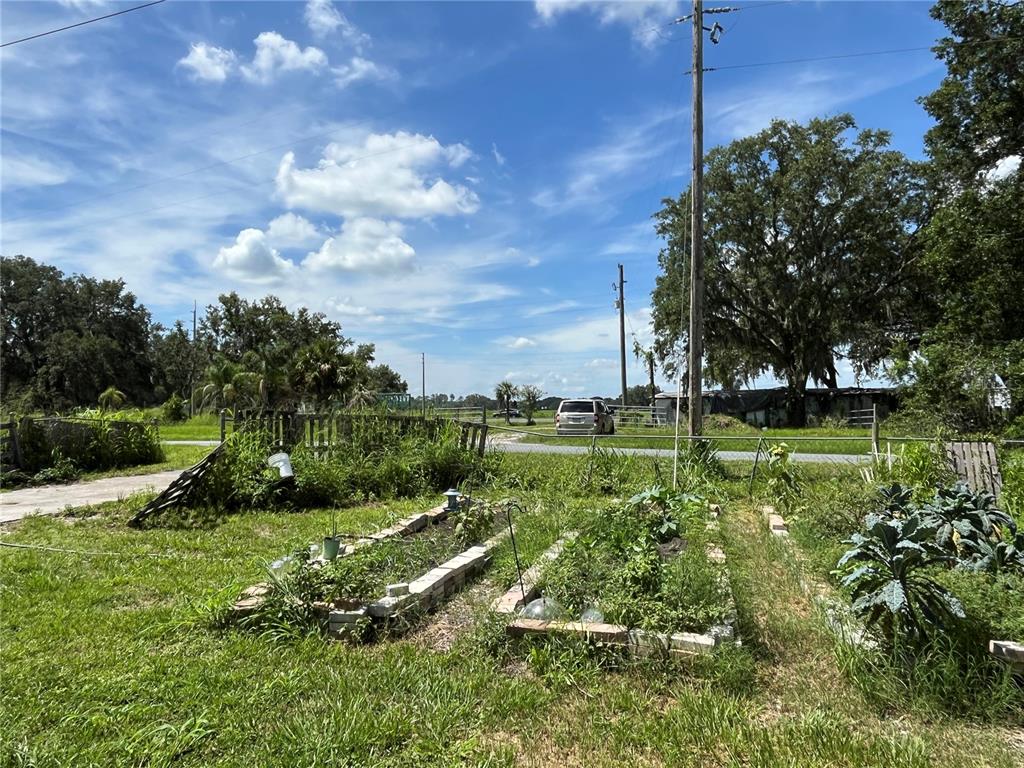 411 Alibrandi Road Leesburg, FL 34748 - Photo 12 of 44 a view of a golf course with a lake