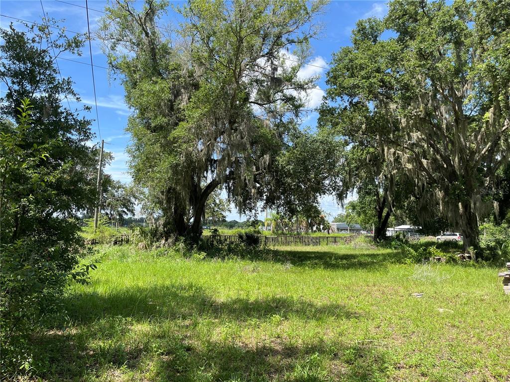 411 Alibrandi Road Leesburg, FL 34748 - Photo 19 of 44 a view of a trees in a yard