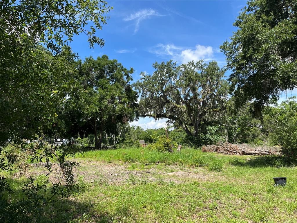 411 Alibrandi Road Leesburg, FL 34748 - Photo 20 of 44 a view of a garden with a tree