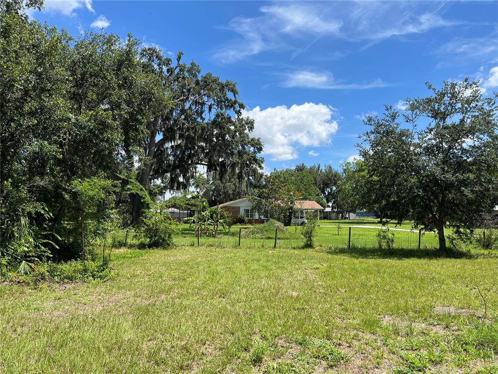 411 Alibrandi Road Leesburg, FL 34748 - Photo 21 of 44 a view of green field with trees in the background