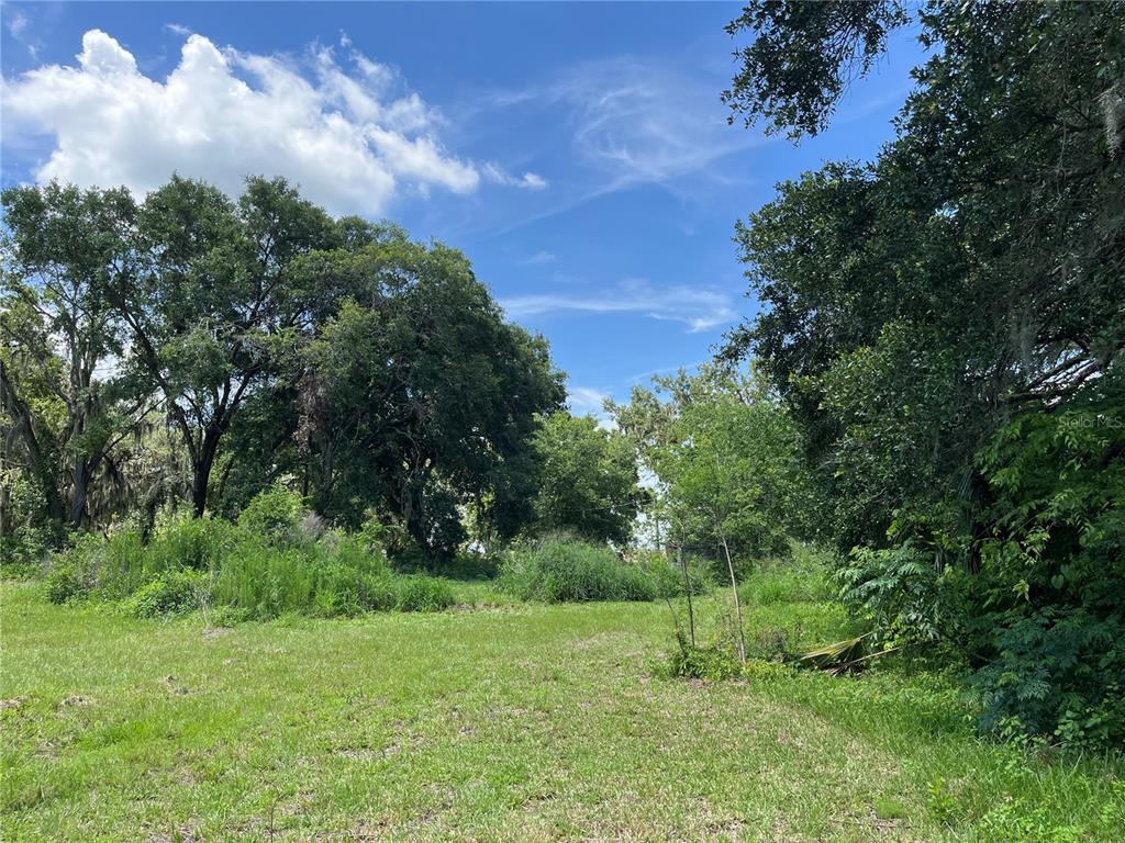 411 Alibrandi Road Leesburg, FL 34748 - Photo 23 of 44 a big yard with lots of green space
