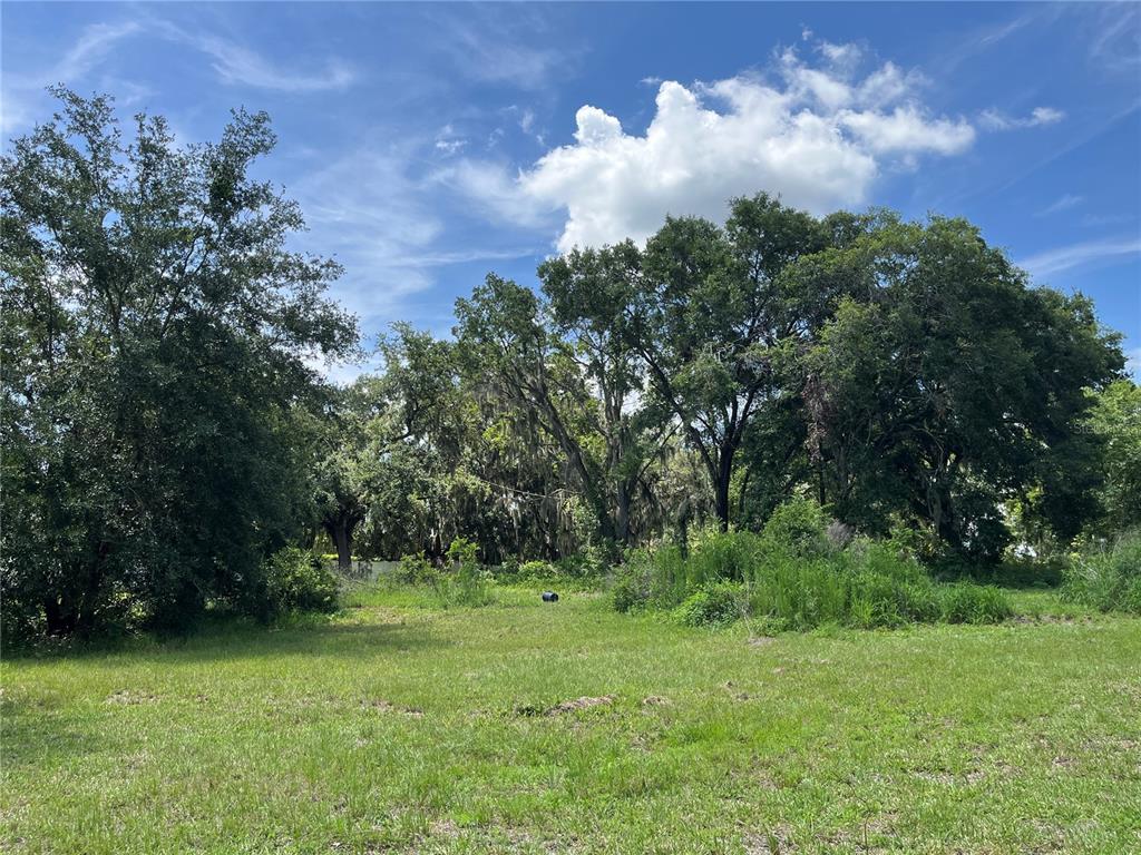 411 Alibrandi Road Leesburg, FL 34748 - Photo 24 of 44 a backyard of a house with lots of green space