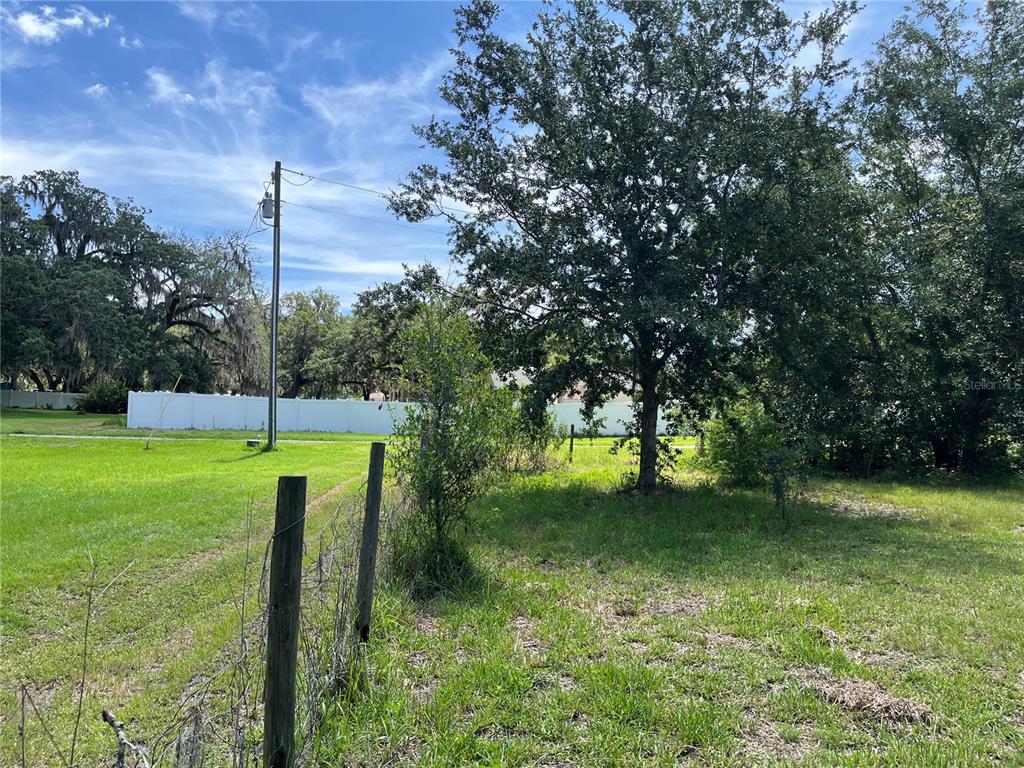 411 Alibrandi Road Leesburg, FL 34748 - Photo 25 of 44 a view of a park with large trees