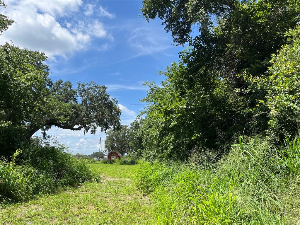 411 Alibrandi Road Leesburg, FL 34748 - Photo 26 of 44 a view of a bunch of trees and bushes